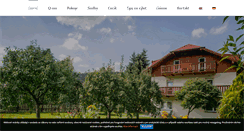 Desktop Screenshot of pensionrieger.cz